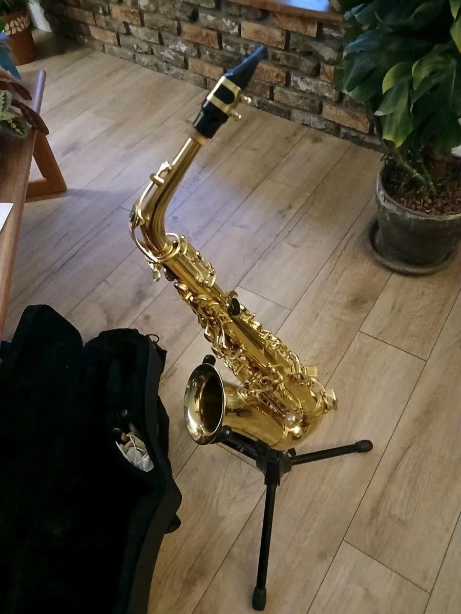 Saxophone Alto - Trevor J James - Image 1