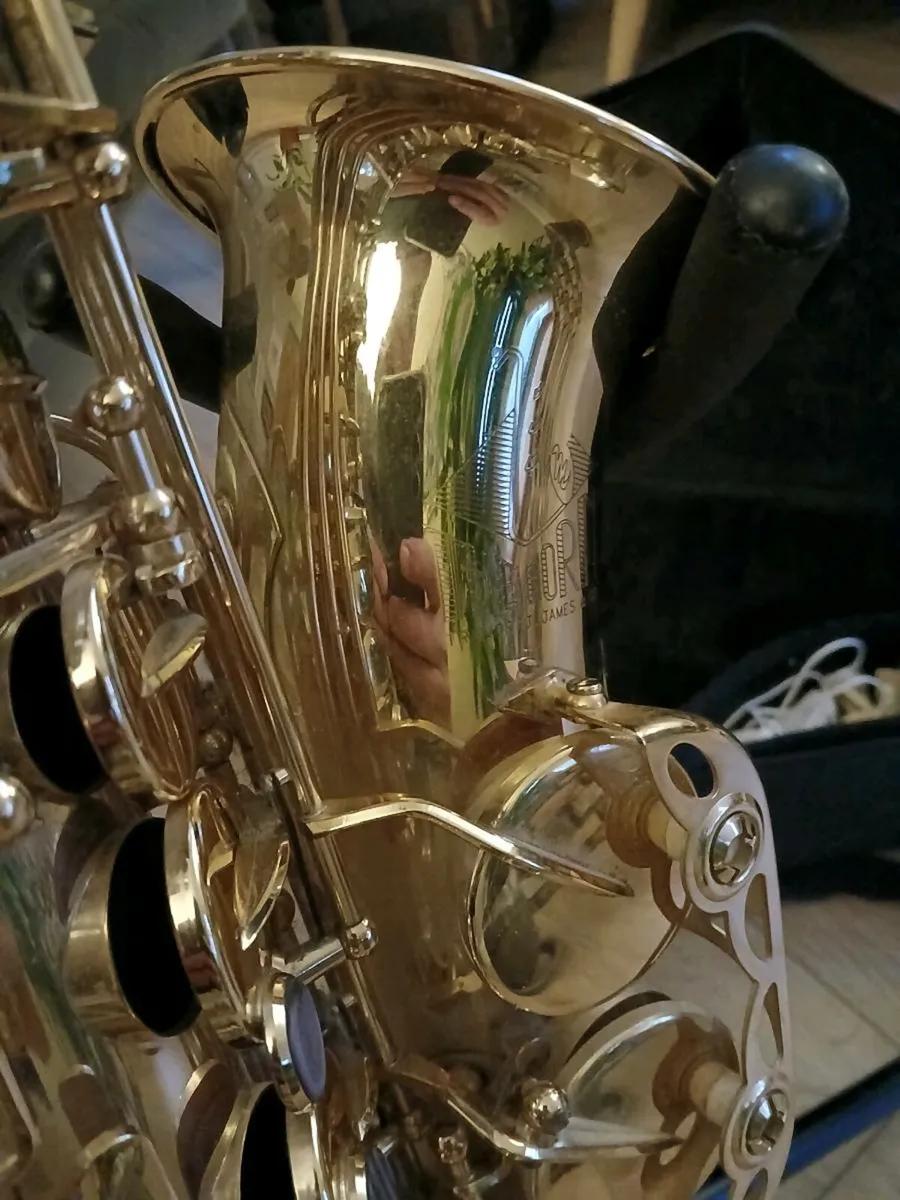 Saxophone Alto - Trevor J James - Image 3