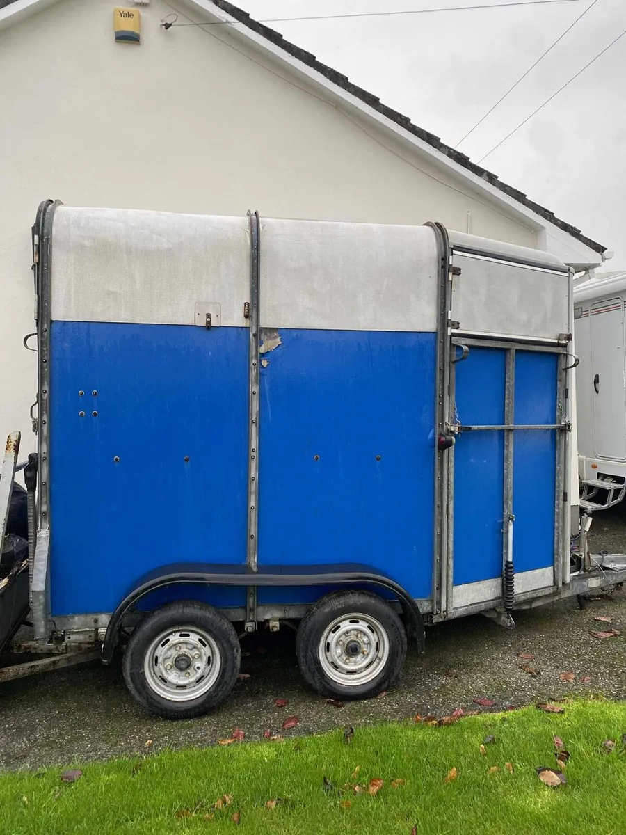 Ifor Williams 505 Horsebox - Image 2