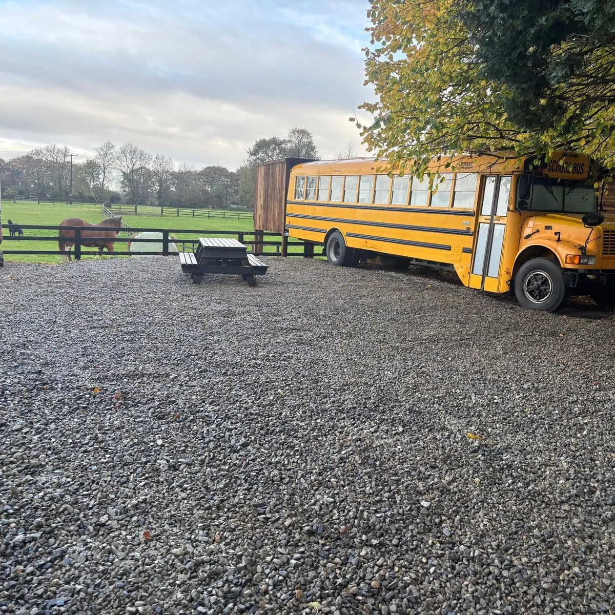 American School Bus Bnb, Glamping - Image 1