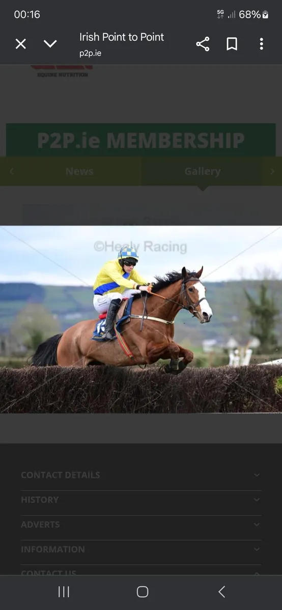 ☆☆Meet ned the giant☆☆ - Image 1