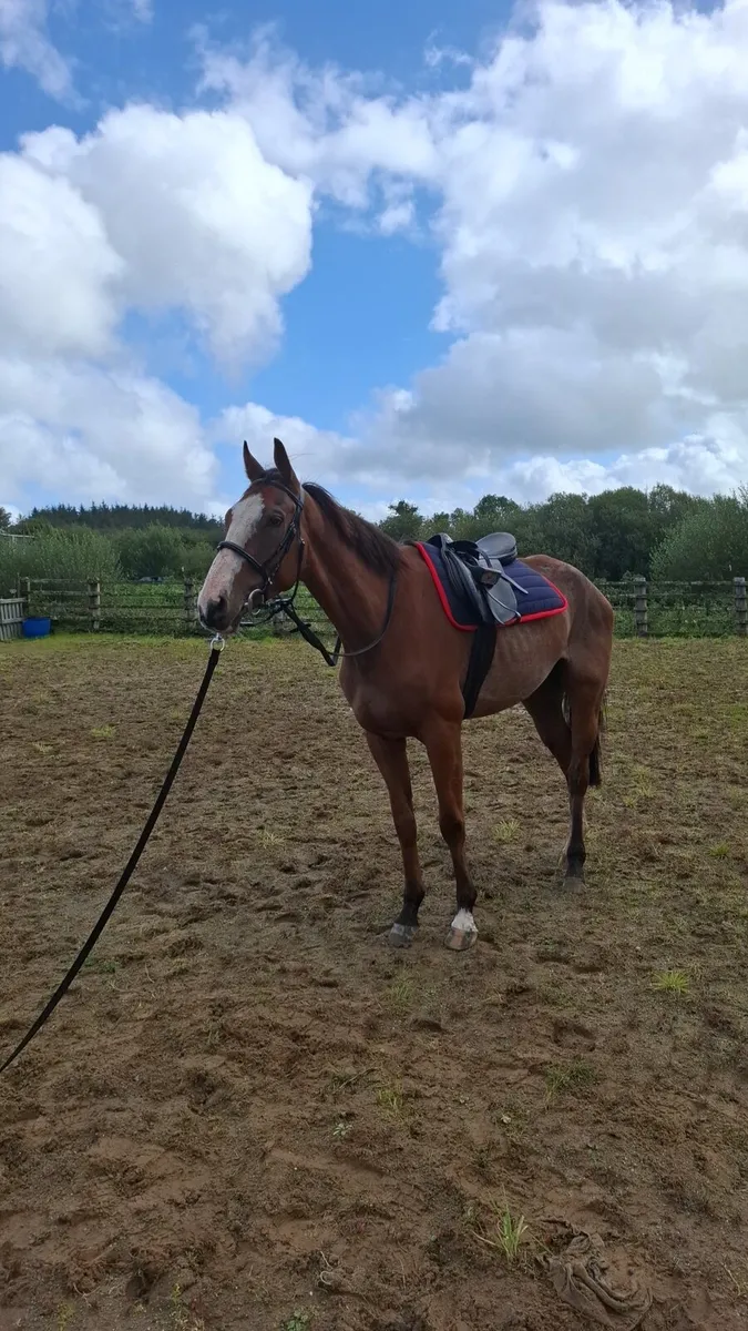 ☆☆Meet ned the giant☆☆ - Image 2