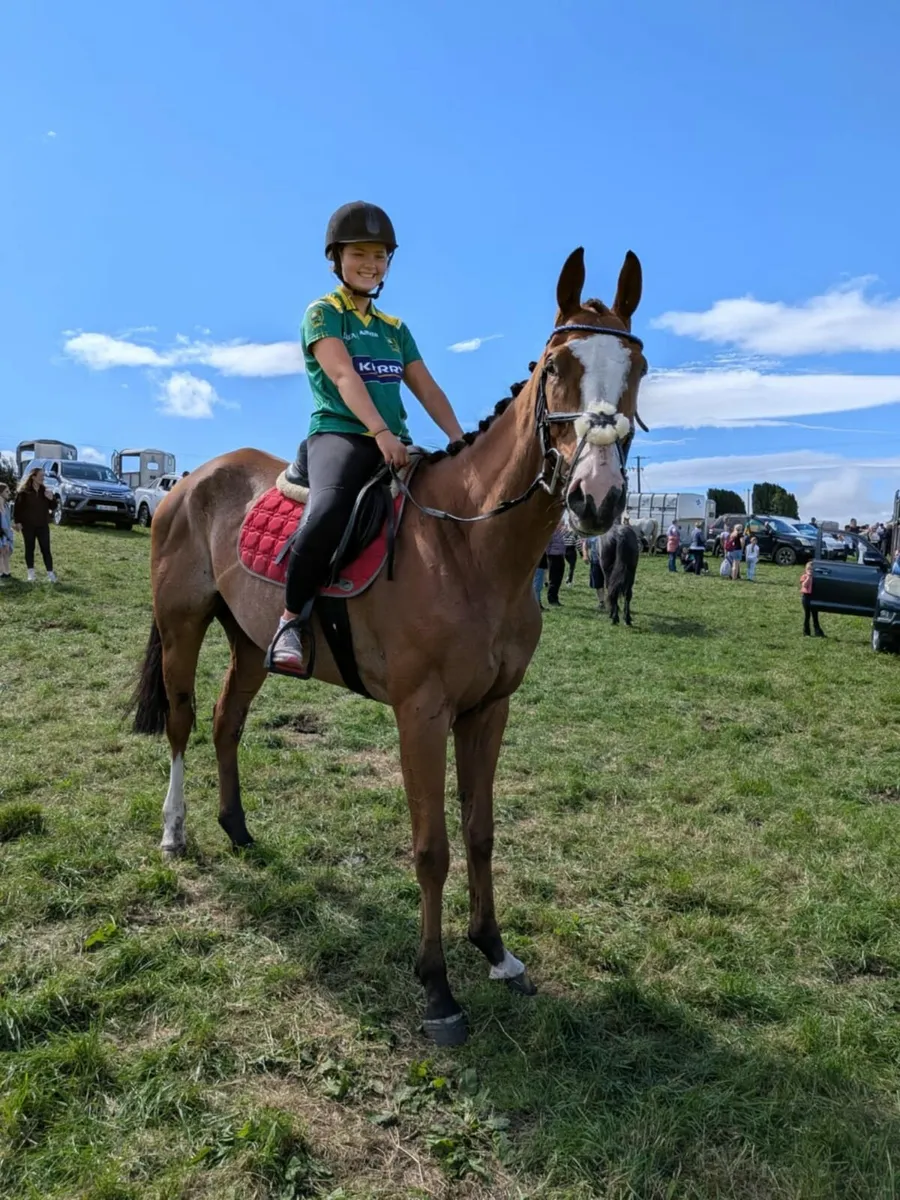 ☆☆Meet ned the giant☆☆ - Image 3