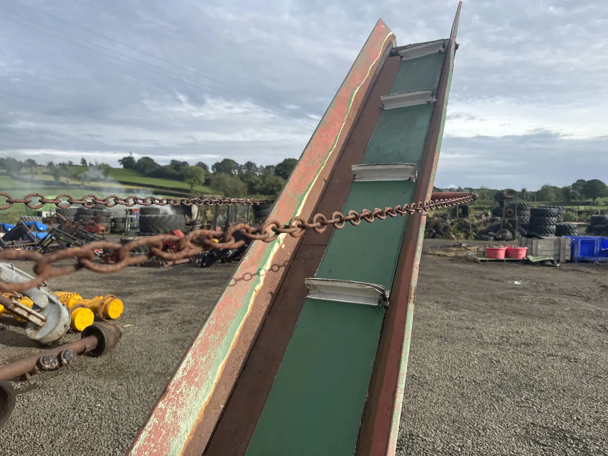 Posch Firewood Log Processor Saw & Conveyor - Image 3