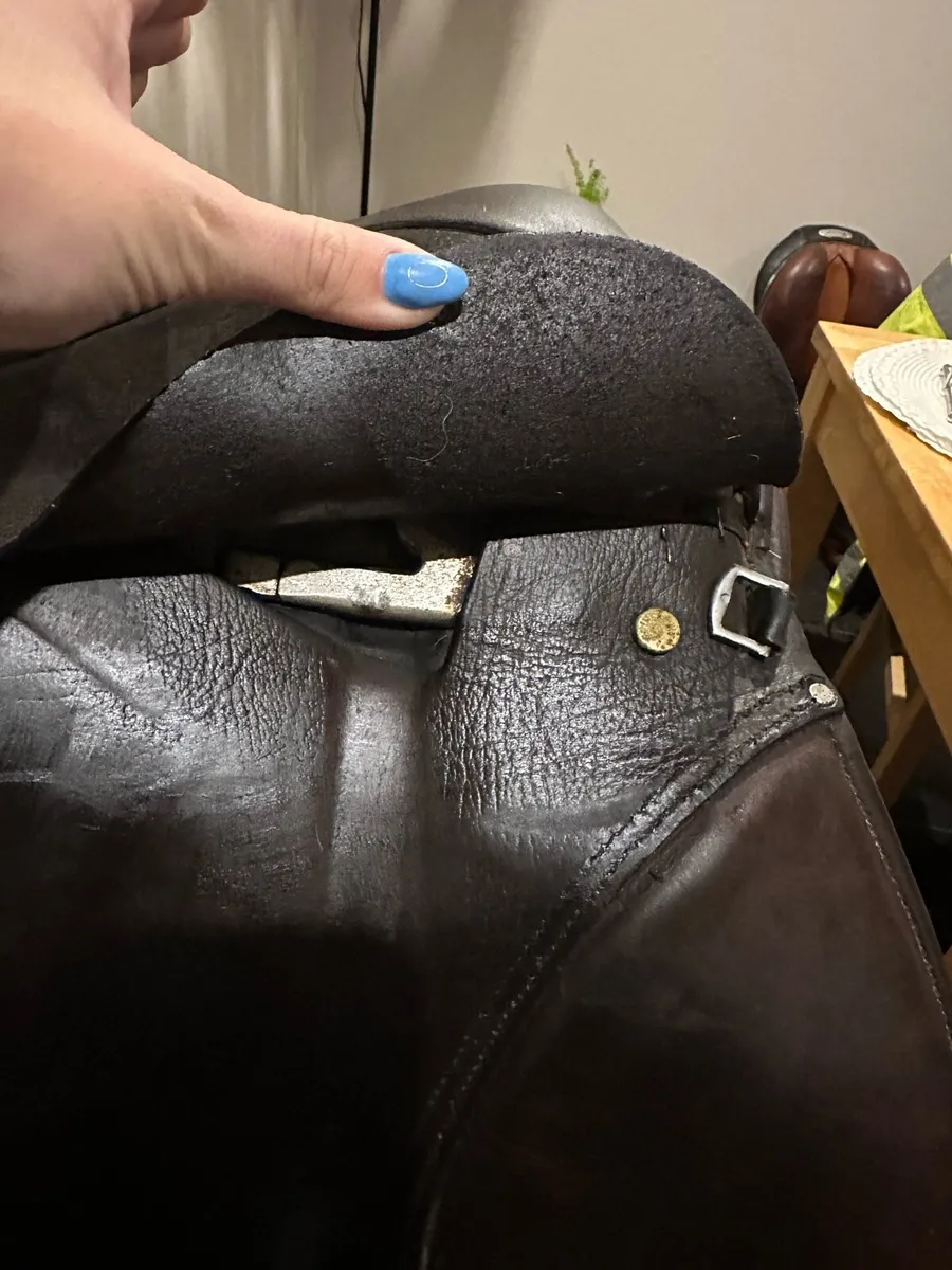 Equisport Saddle - Image 3