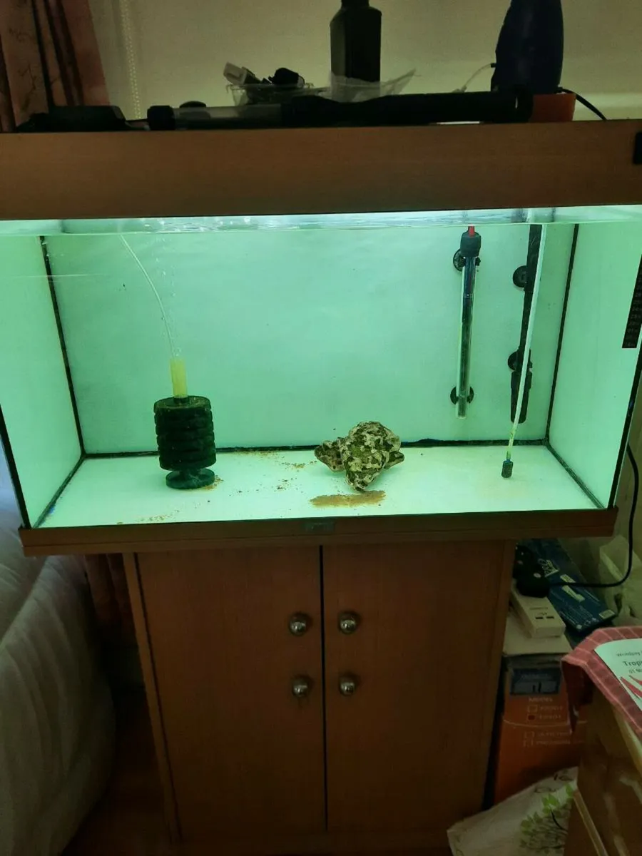 Fish tank 240 Liters plus 125 liters - Image 2