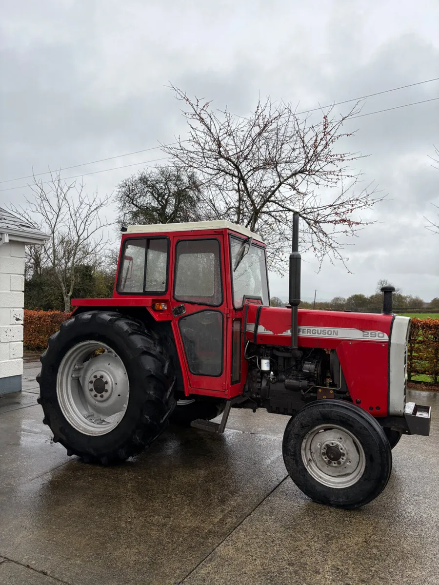 Massey Ferguson  290 - Image 3