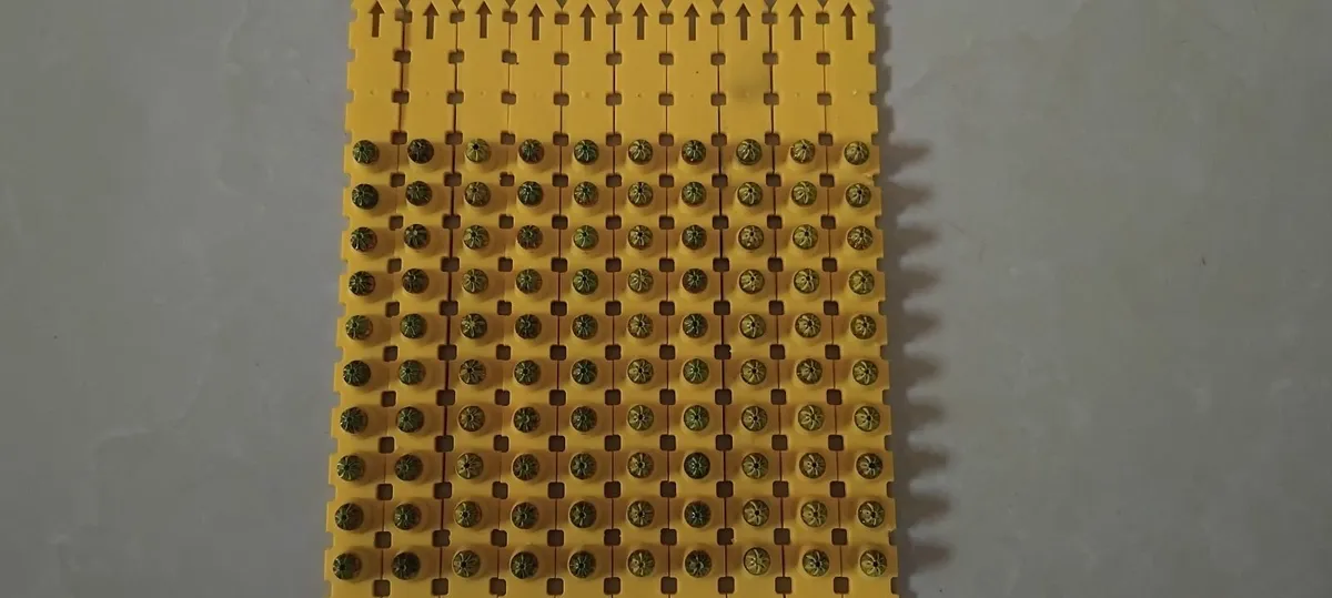 Winchester/Hilti DX450 DX460 Cartridge Strips - Image 2