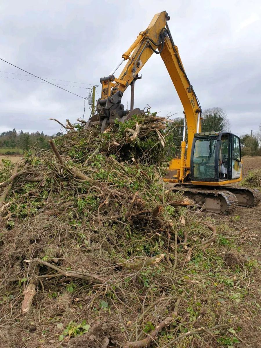 Tree falling service - Image 2