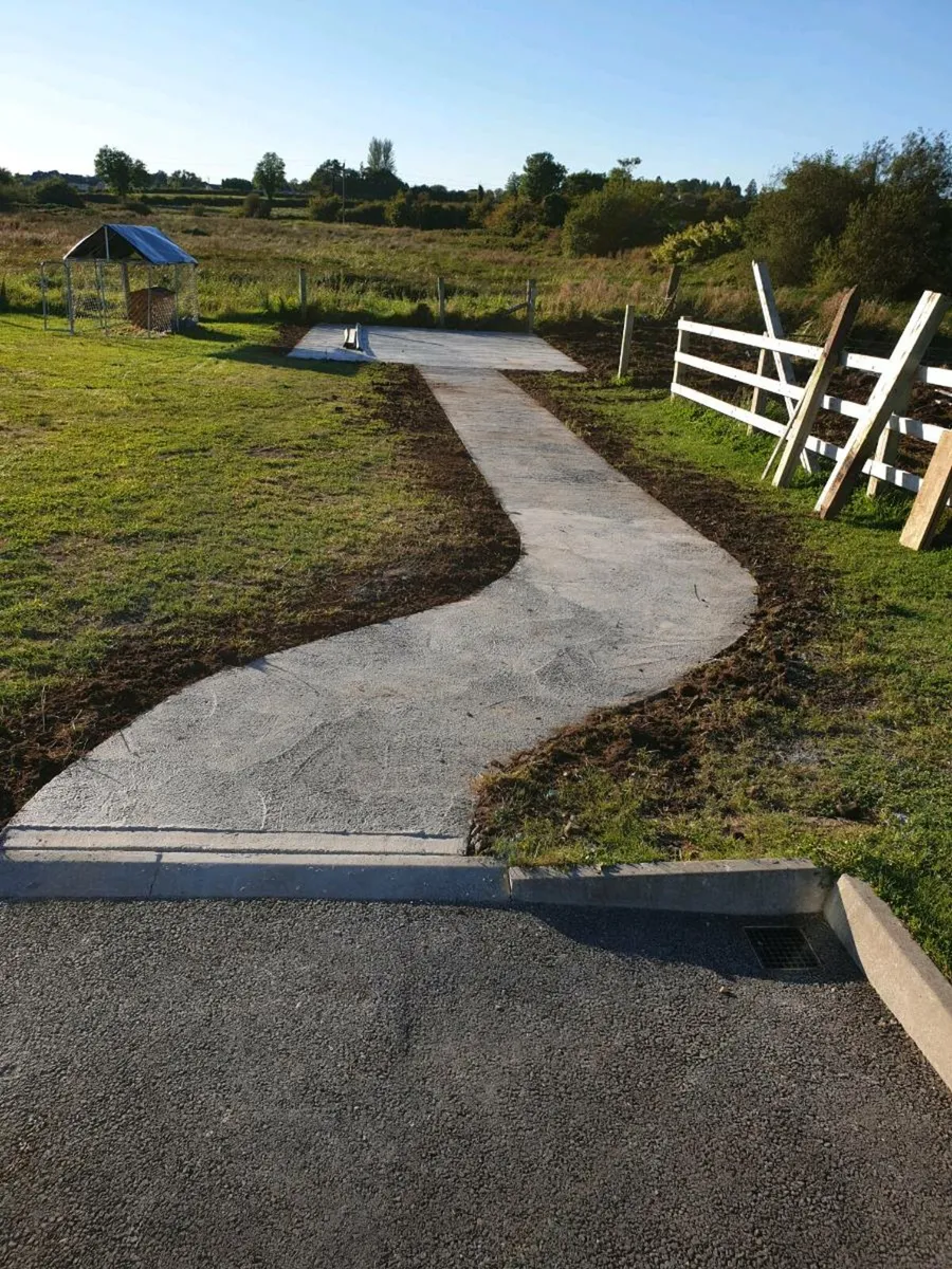 Tree falling service - Image 3