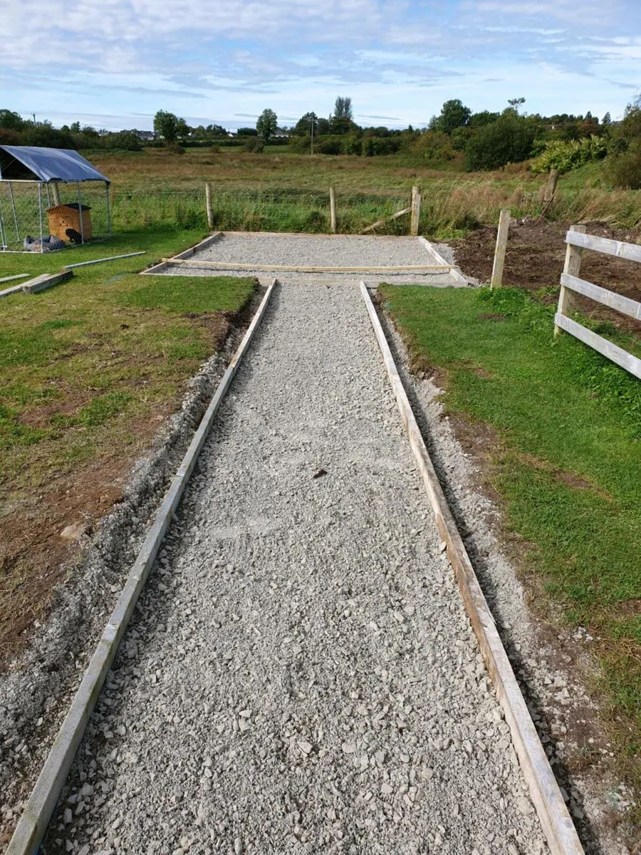 Tree falling service - Image 4