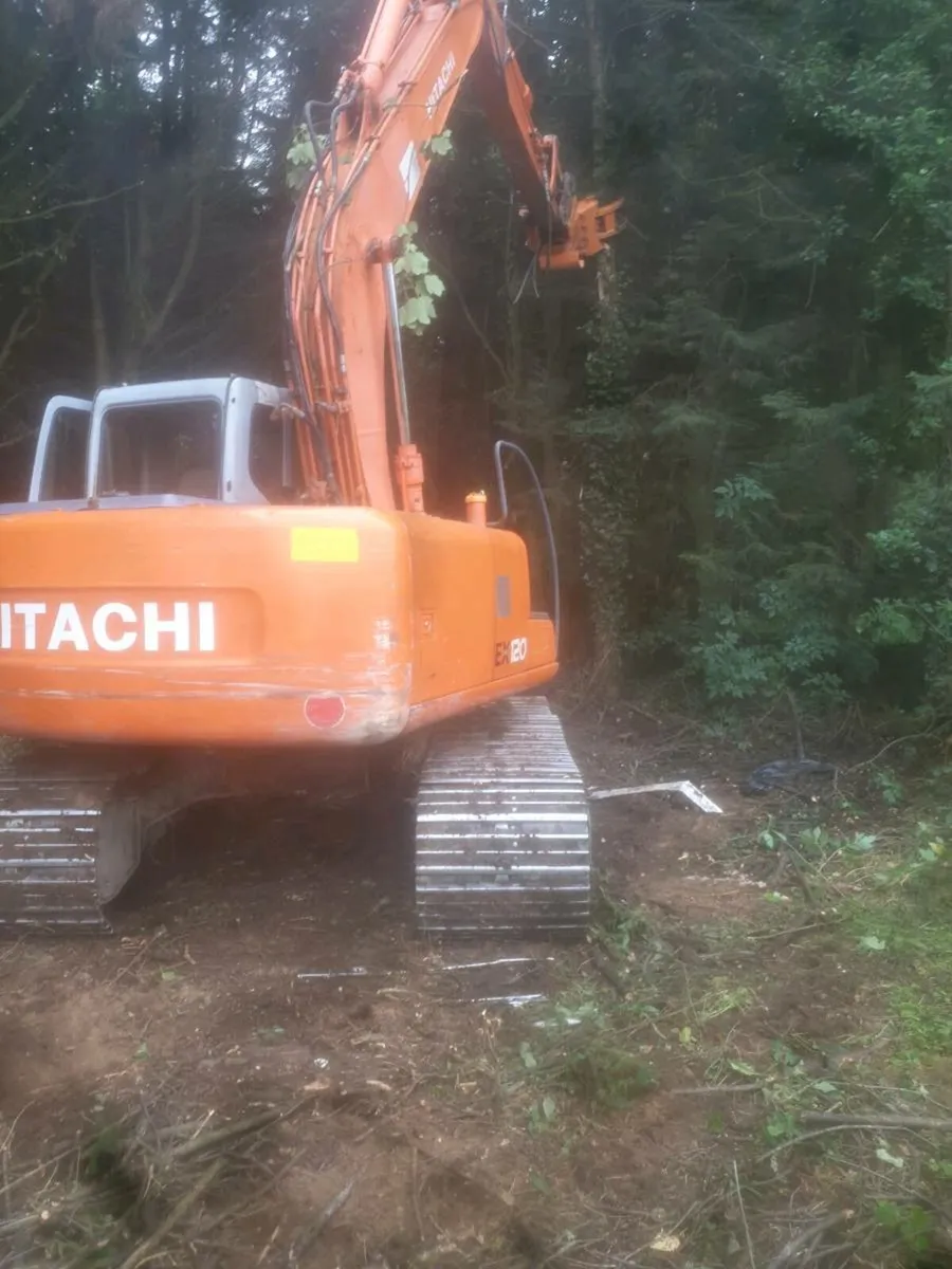 Tree falling service - Image 1