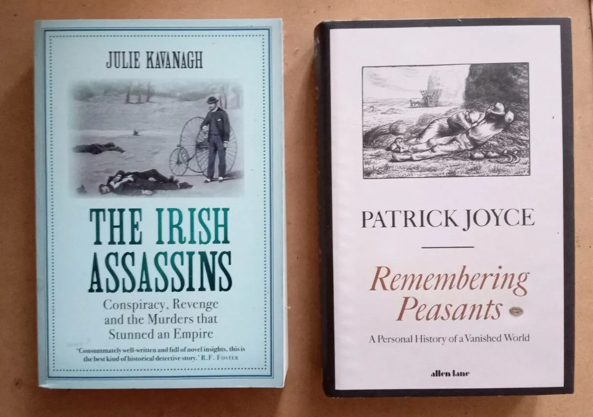 Irish Assassins Remembering Peasants Irish Authors
