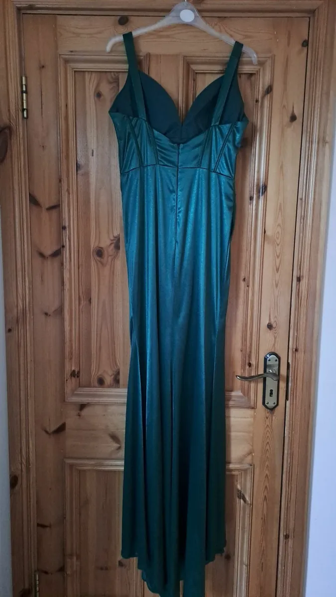 Debs Dress Dani's Closet - Image 4