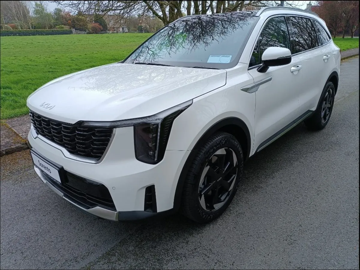 Kia Sorento 2 Seater Commercial **Order Now For 26 - Image 2