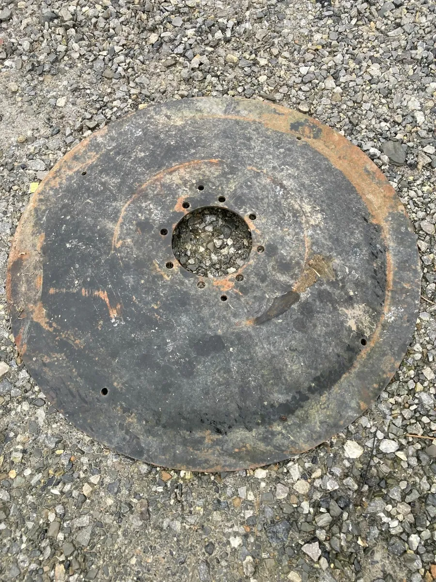 zero grazer discs / saucers - Image 2