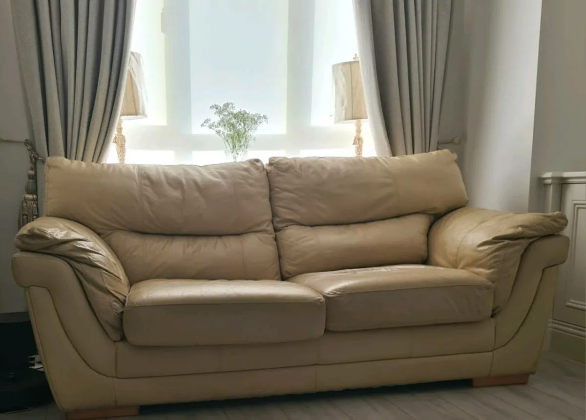 Leather sofa bed - Image 1