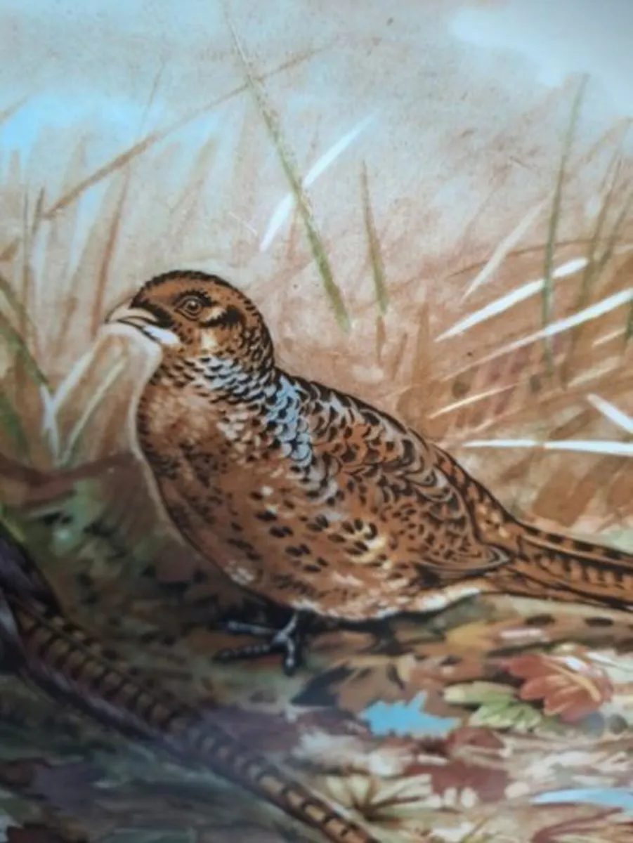 Oval pheasant scene plate - Image 4