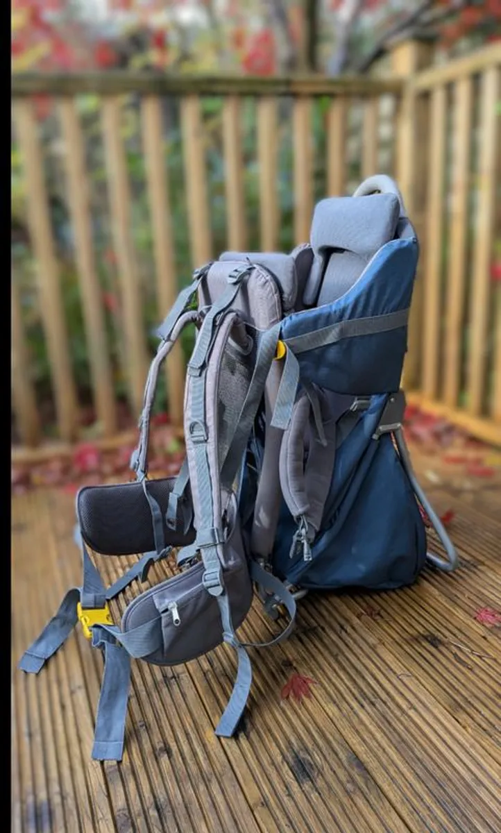 Baby hiking carrier - great shape! - Image 1