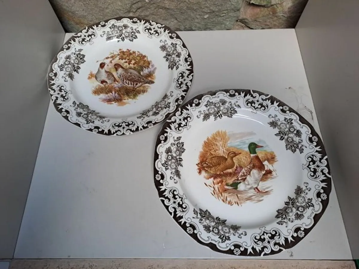 2 Burleigh ducks and fowl plates - Image 1