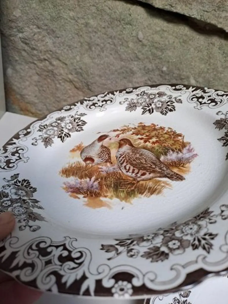 2 Burleigh ducks and fowl plates - Image 2