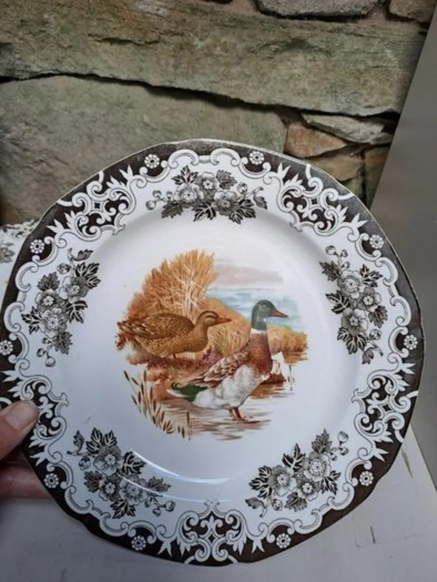 2 Burleigh ducks and fowl plates - Image 3