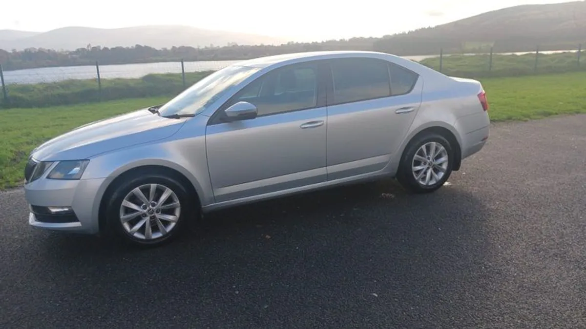 2018 Skoda Octavia - Image 1