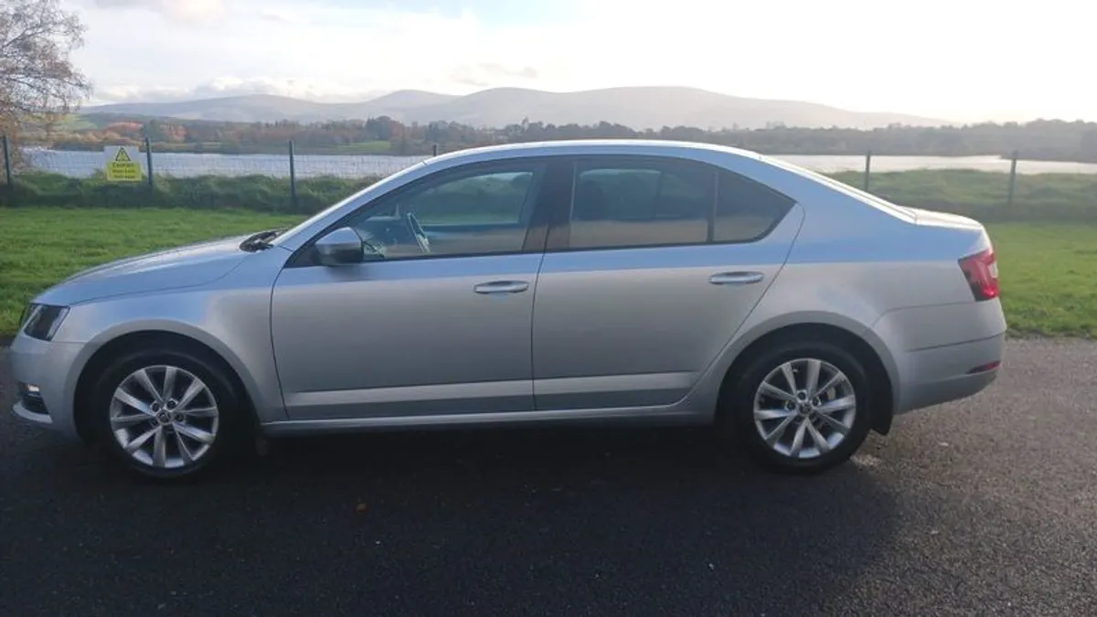 2018 Skoda Octavia - Image 3