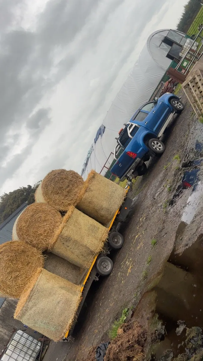 Toyota hilux - Image 2