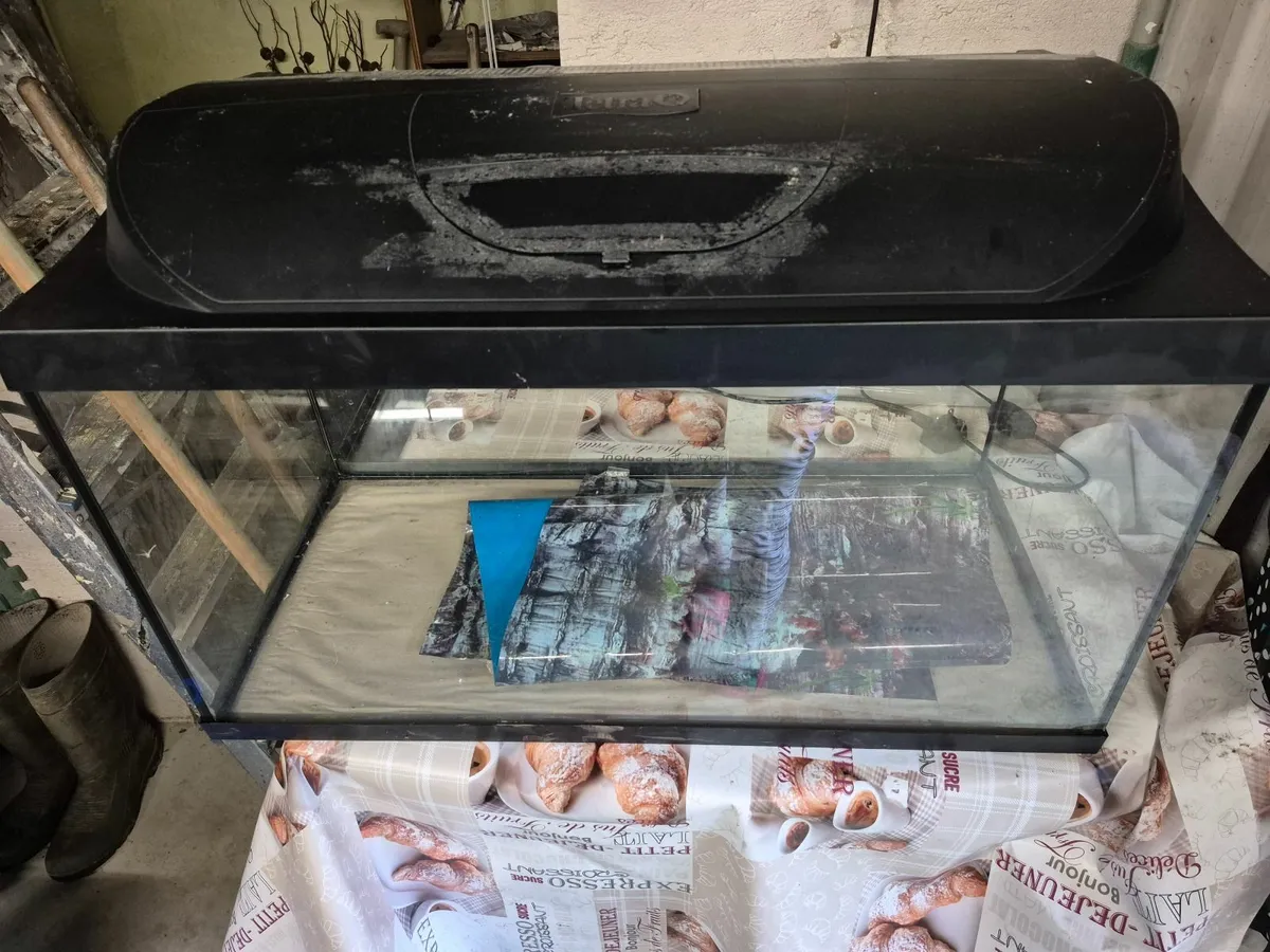 Fish tank 60L - Image 1