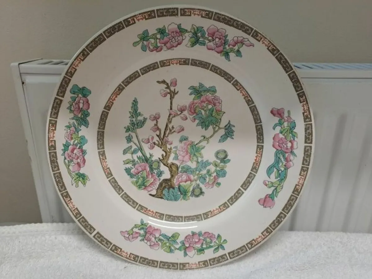Lord Nelson Indian tree plate - Image 1