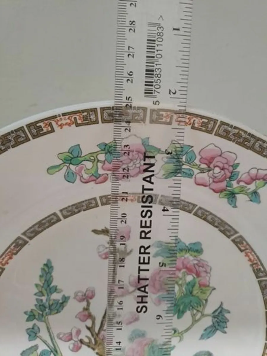 Lord Nelson Indian tree plate - Image 3