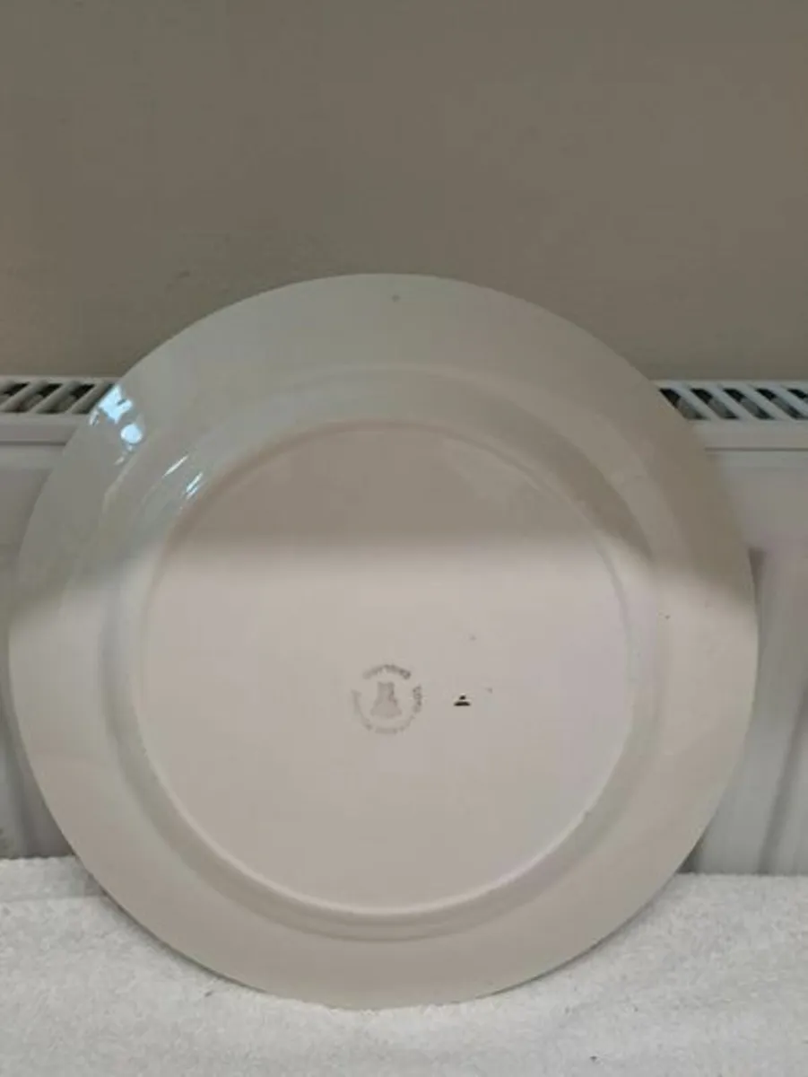 Lord Nelson Indian tree plate - Image 4