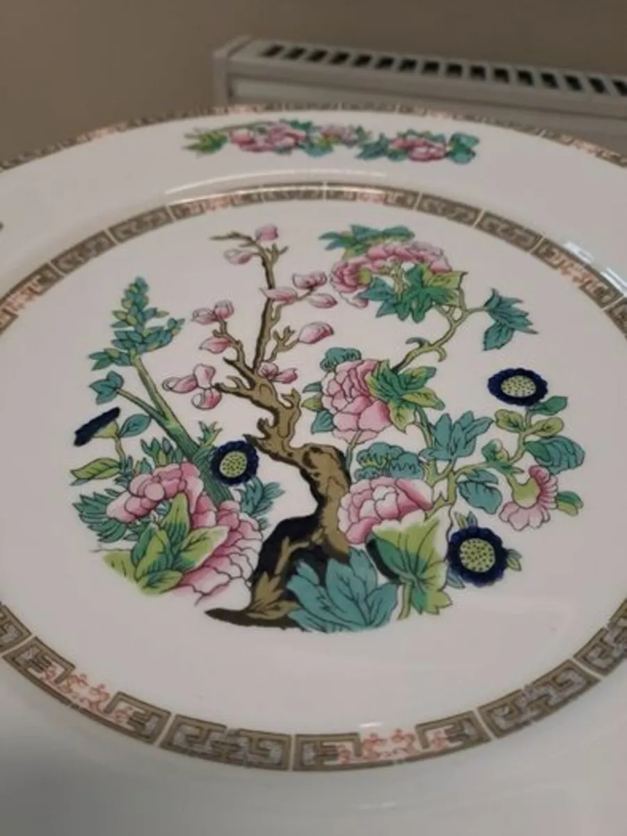 Dutchess plate Indian tree - Image 2