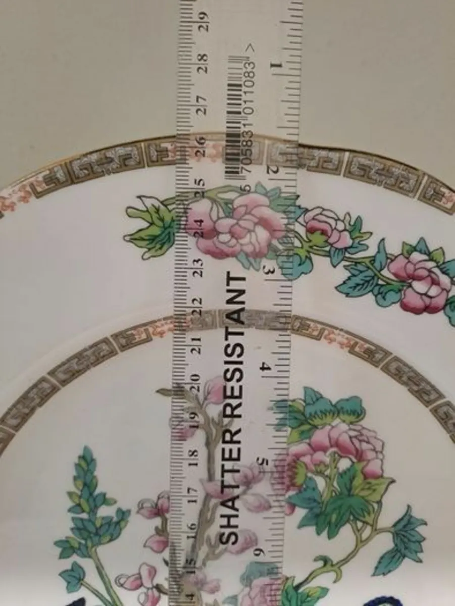 Dutchess plate Indian tree - Image 3