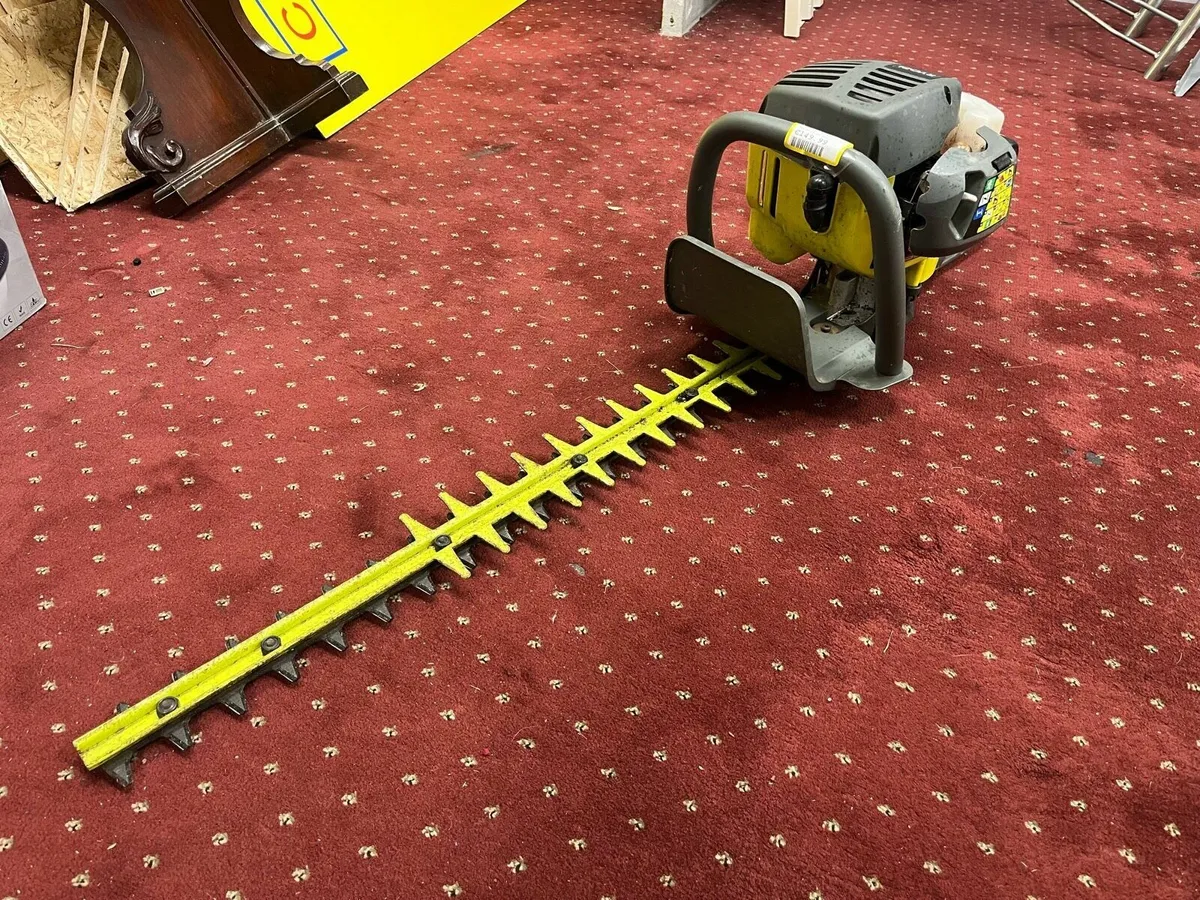 Ryobi Hedge Strimmers - Image 1