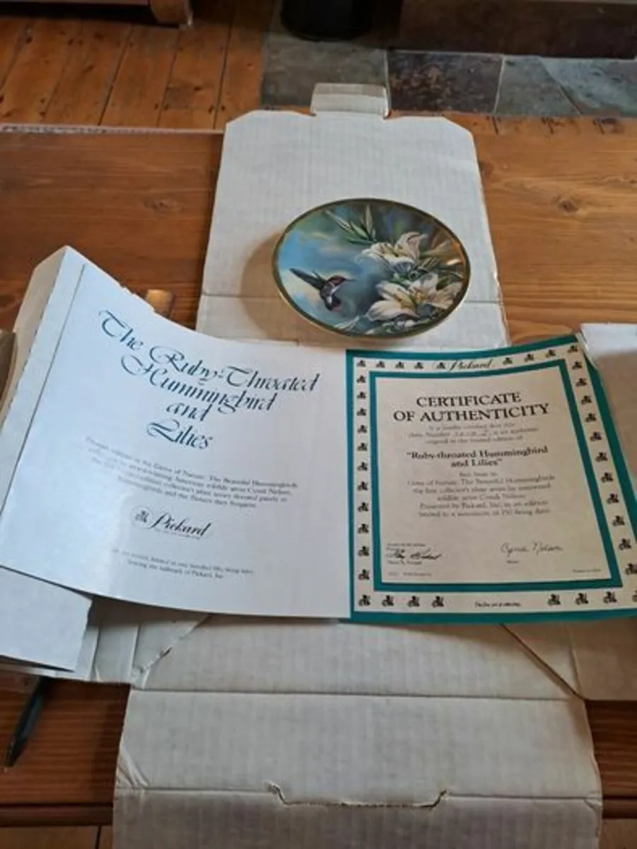 Ruby-throated hummingbird Plate - Image 2