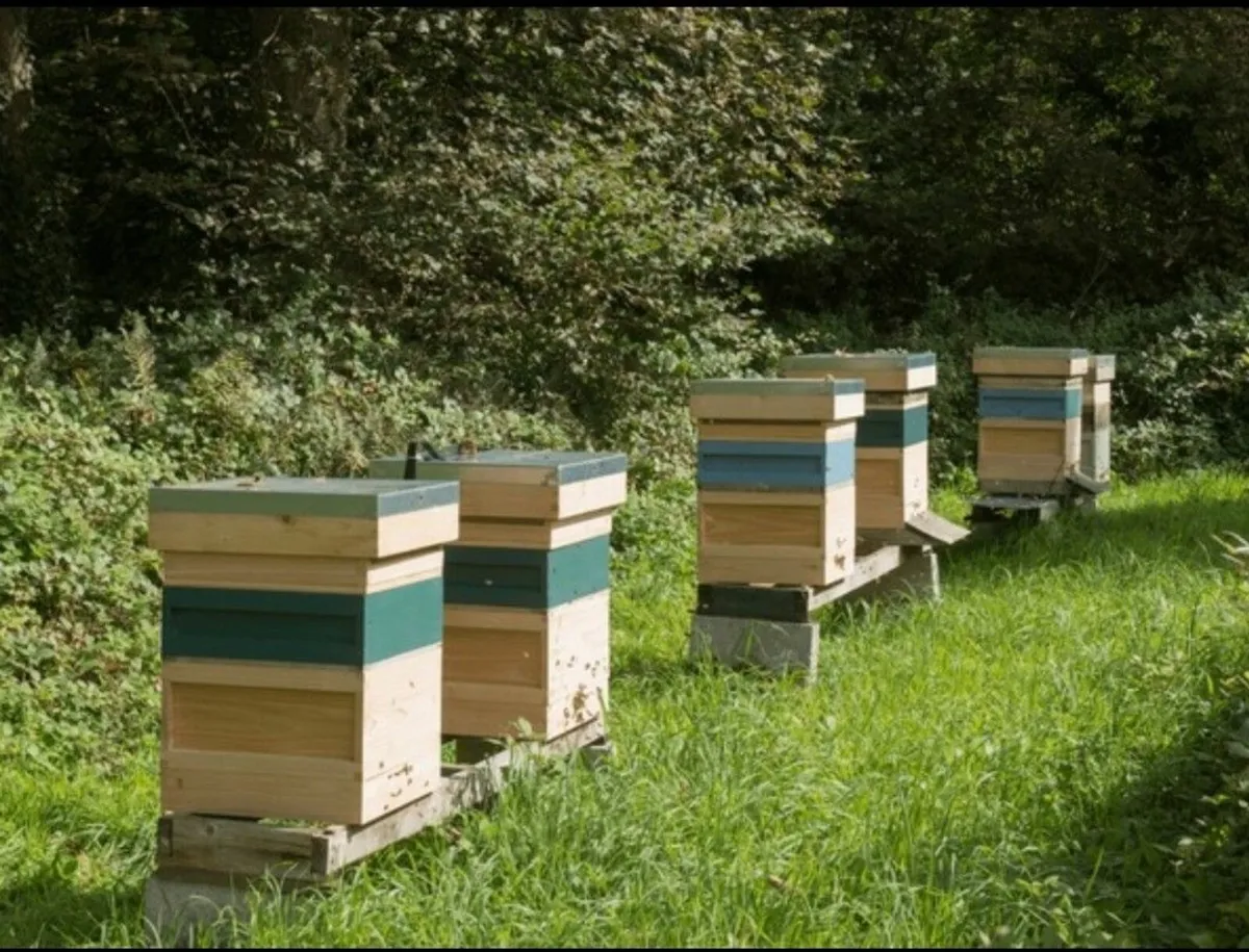 100%  Raw Natural Honey 228g - Image 3