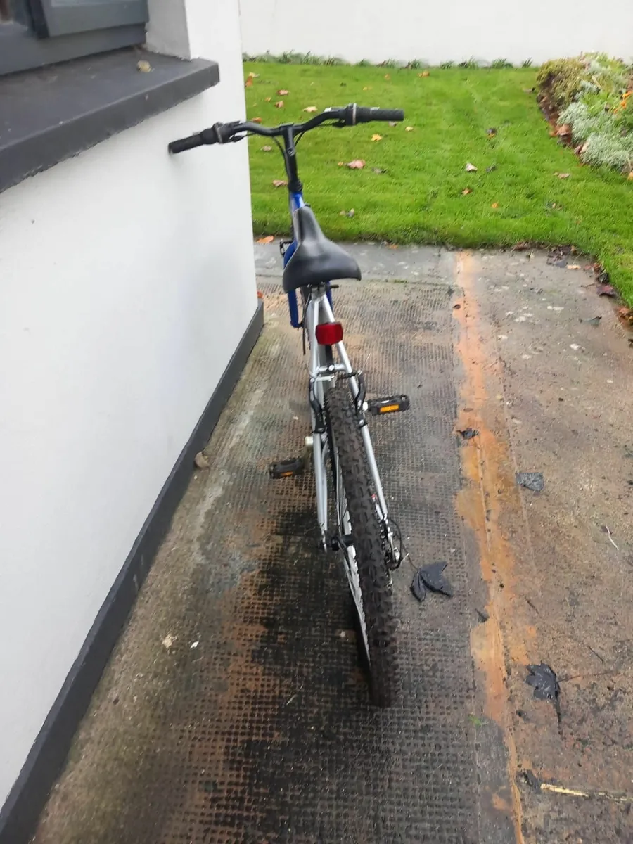 Mountain bike - Image 1