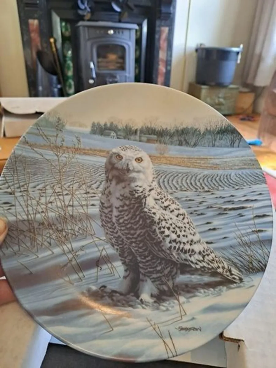 The Snowy Owl Plate 1989 - Image 1
