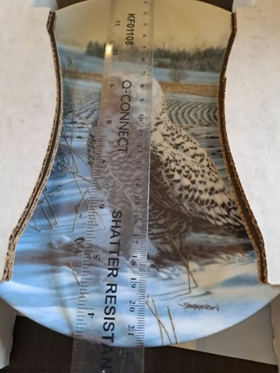 The Snowy Owl Plate 1989 - Image 2