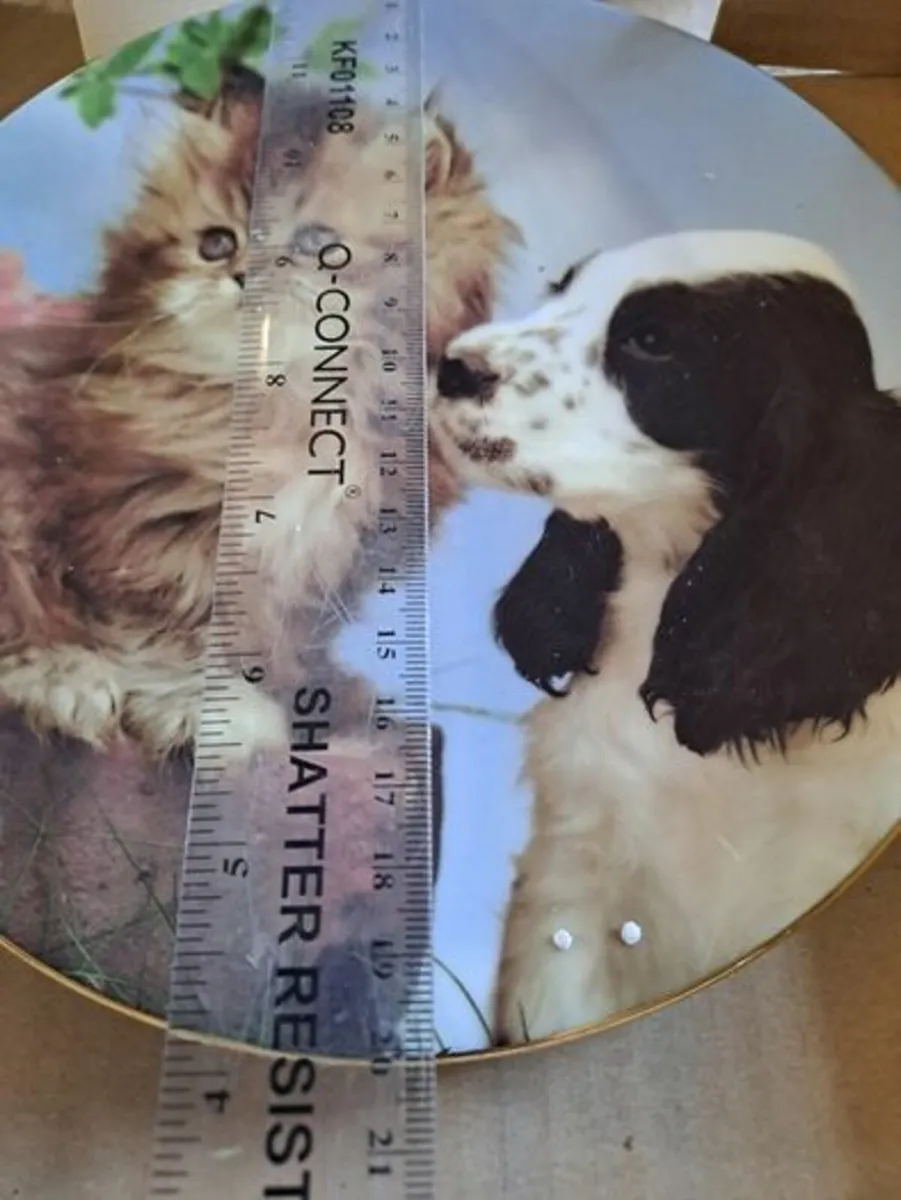 Royal Worcester Plate Smokey and Rascal - Image 2