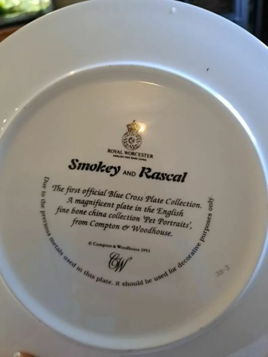Royal Worcester Plate Smokey and Rascal - Image 4