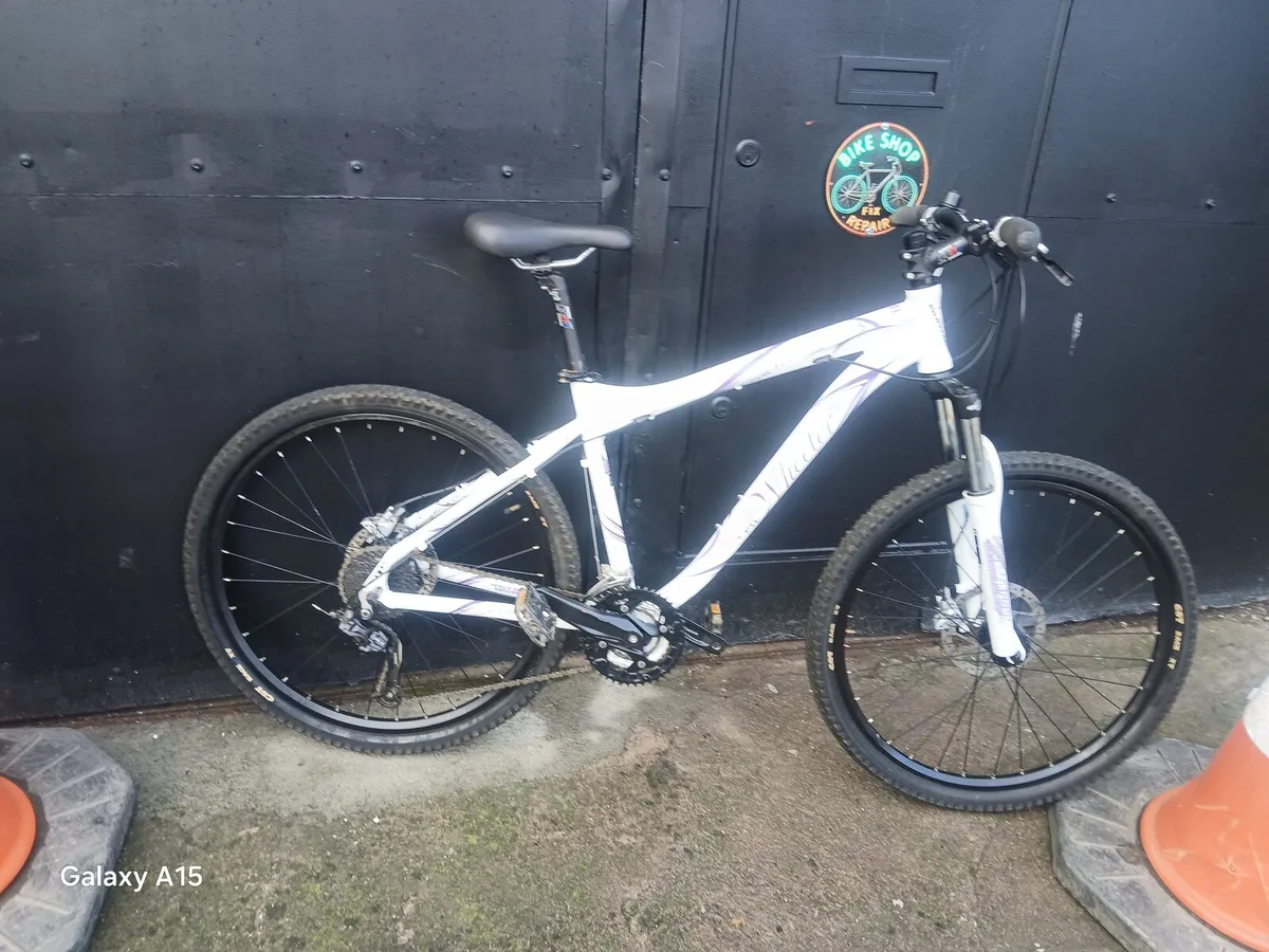 WHEELER MOUNTAIN BIKE