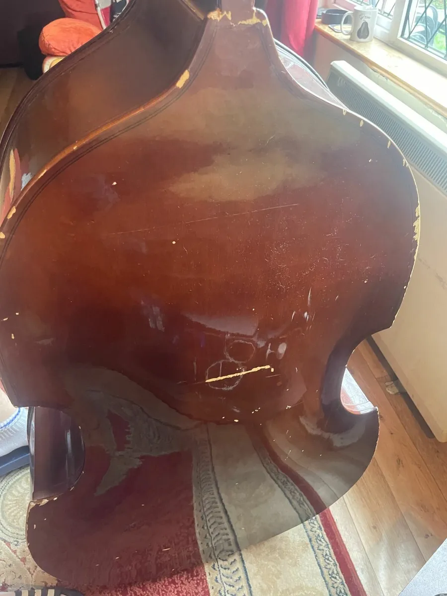 Stentor 1/2 size Double Bass - Image 2