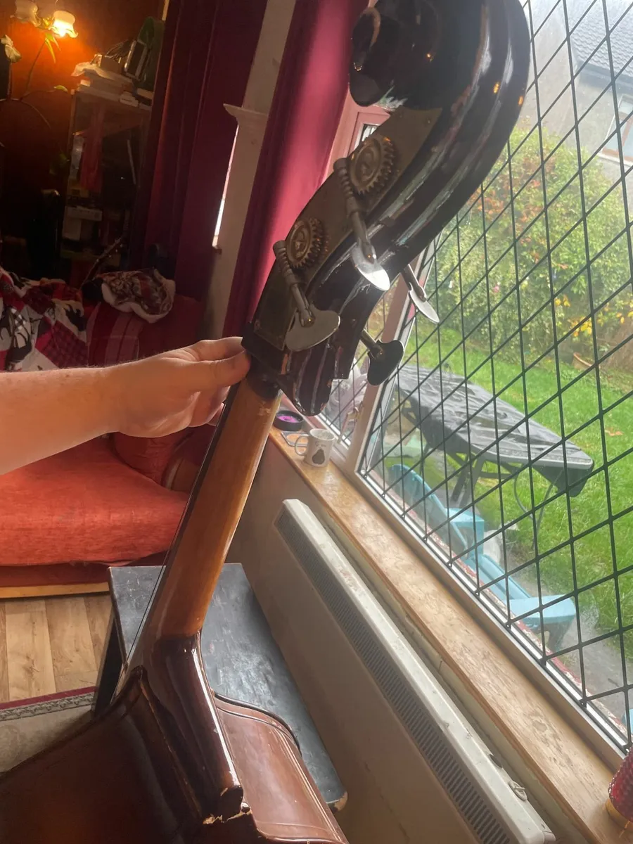 Stentor 1/2 size Double Bass - Image 3