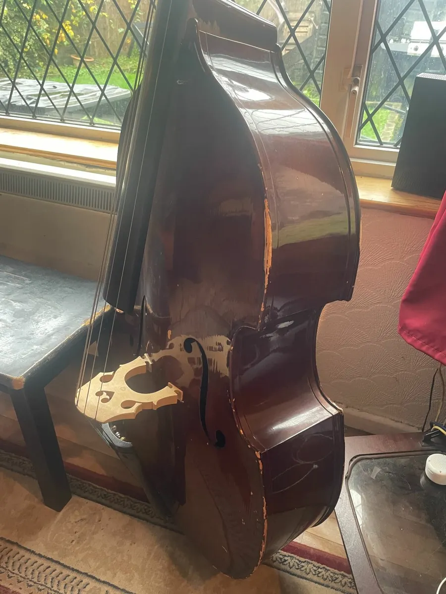 Stentor 1/2 size Double Bass - Image 4