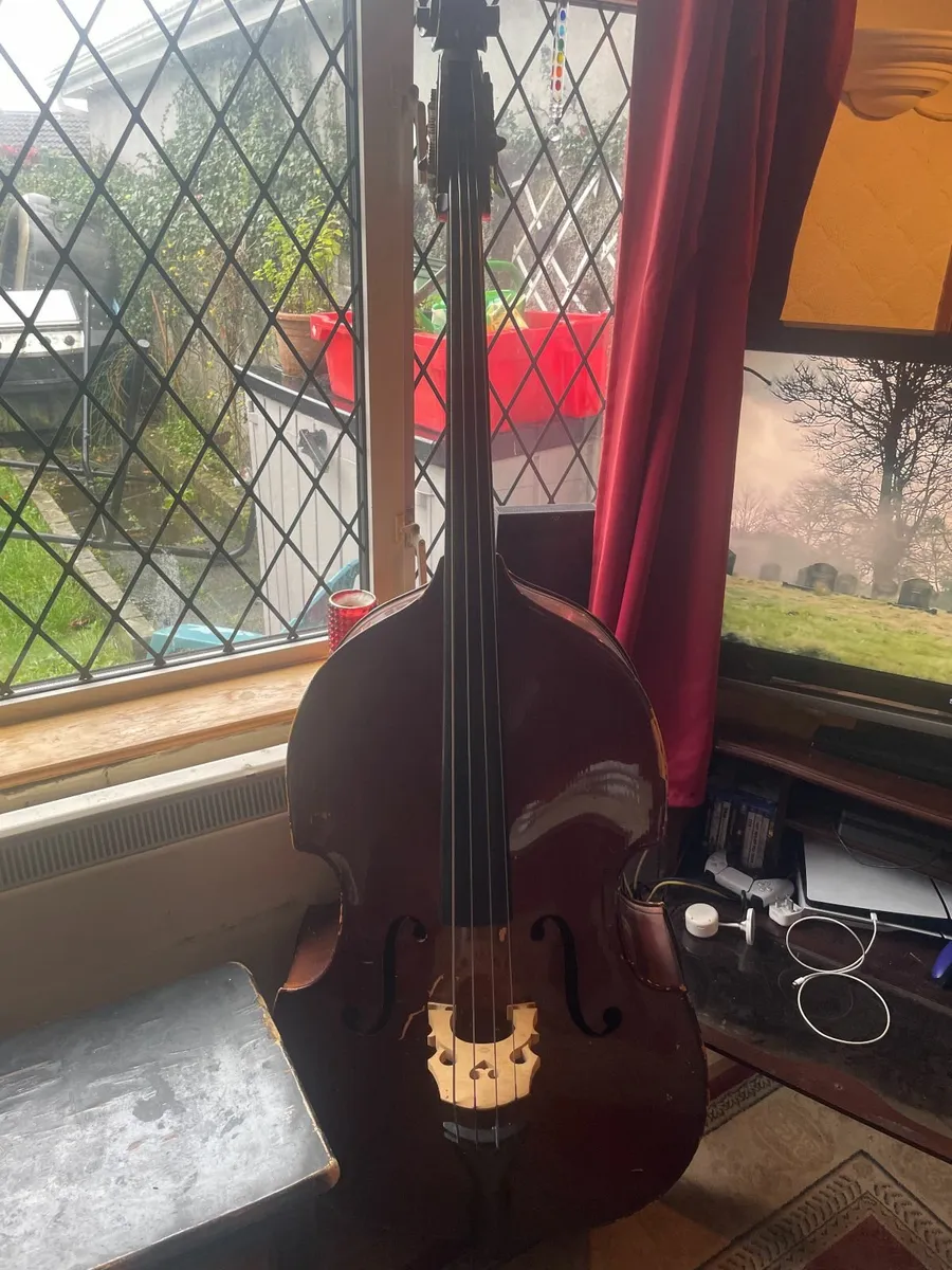 Stentor 1/2 size Double Bass - Image 1