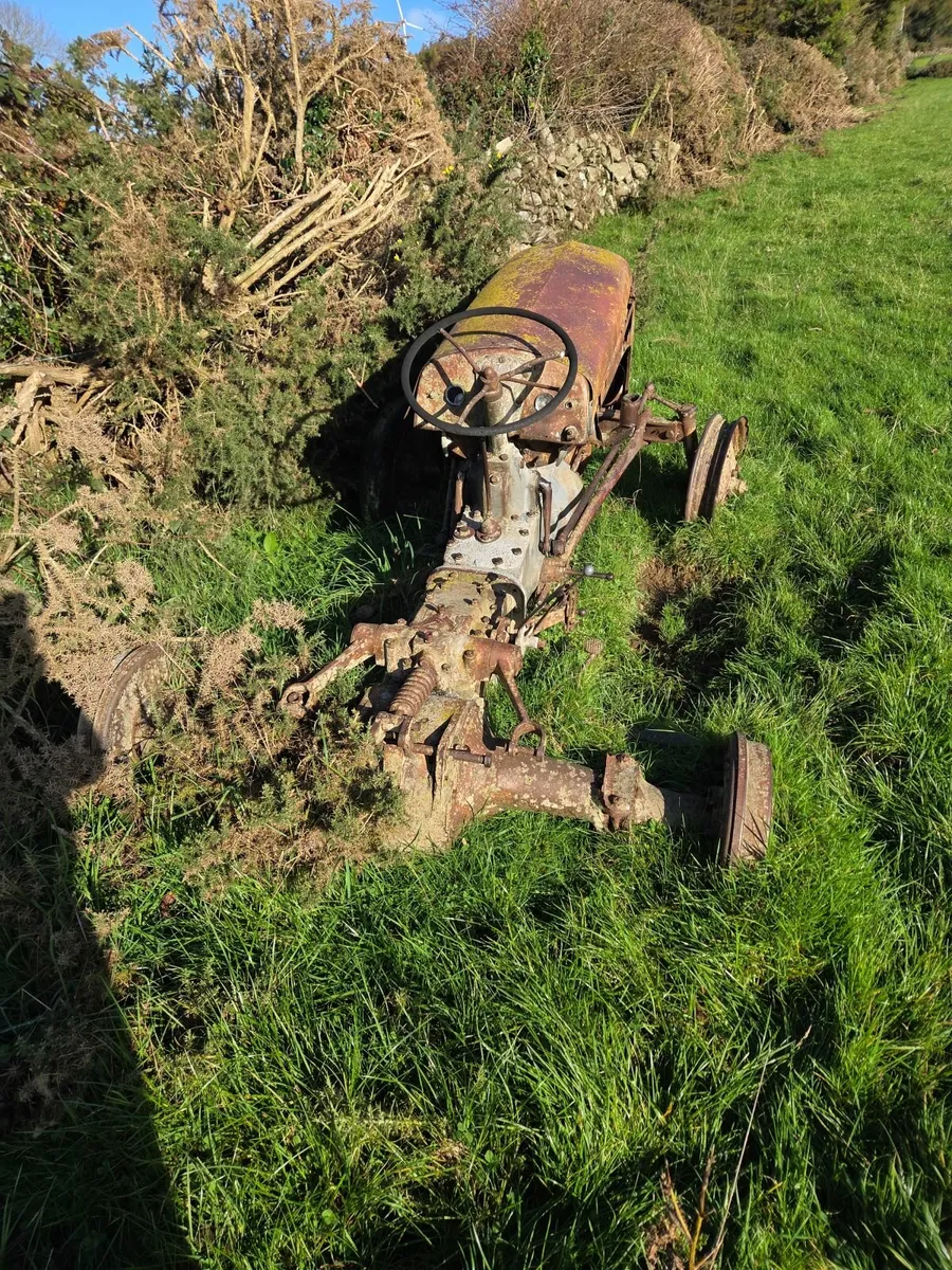 Ferguson TVO - Image 4