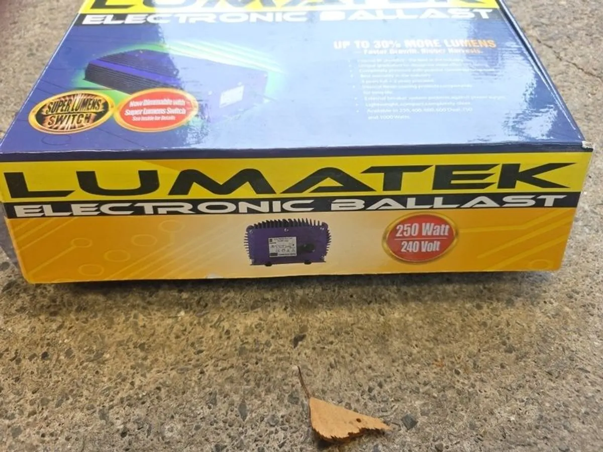 Electronic Ballast - Image 2